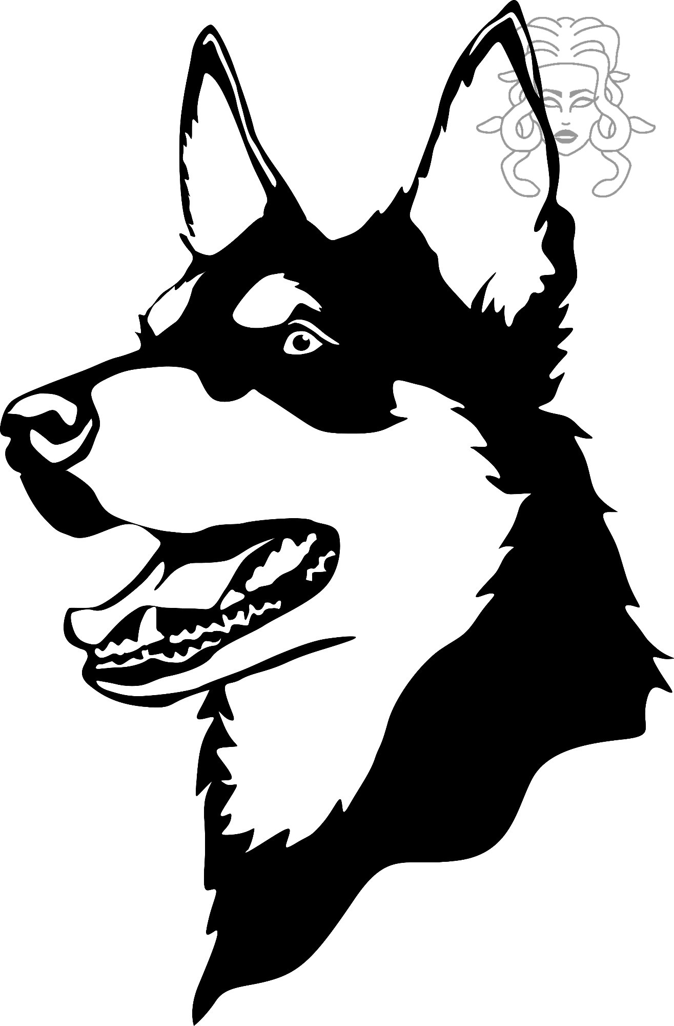 Australská kelpie