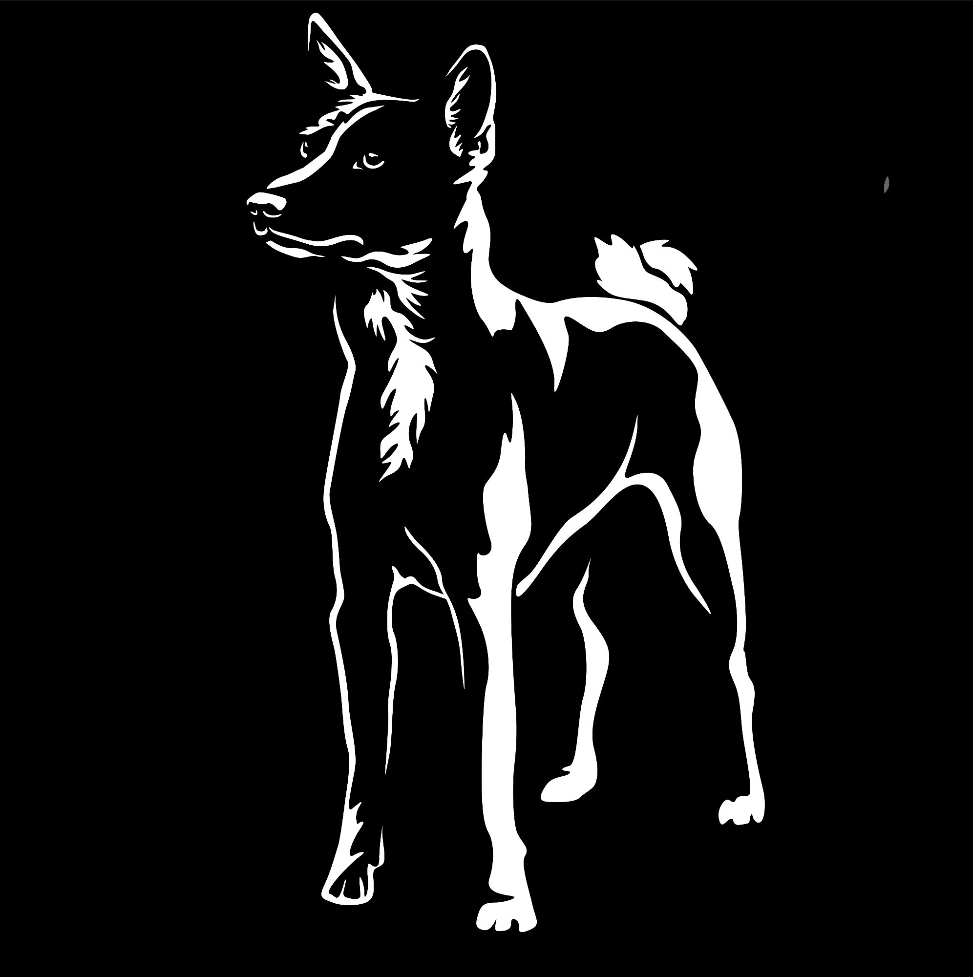 Basenji