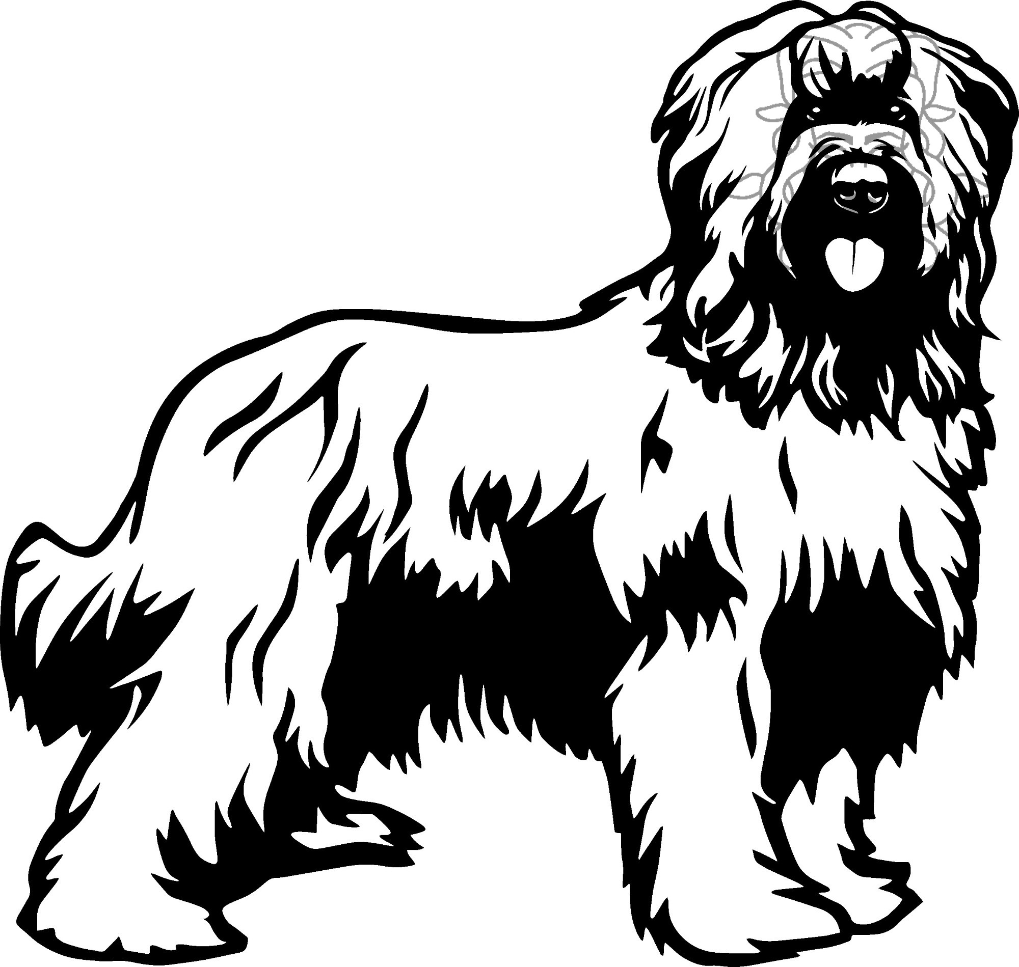 briard