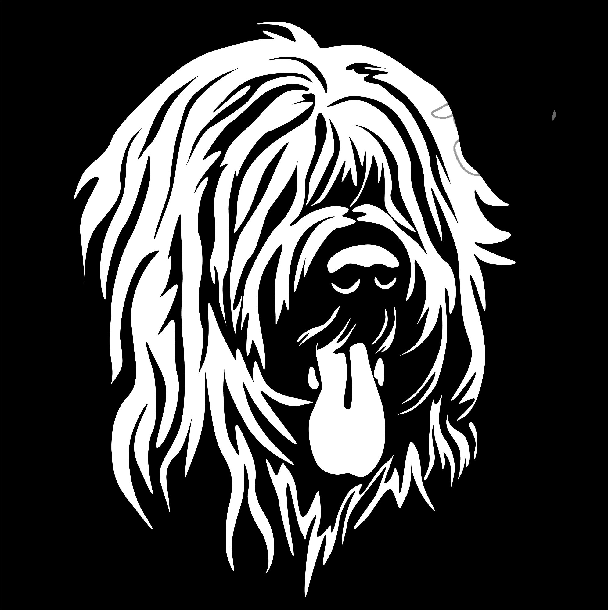 briard