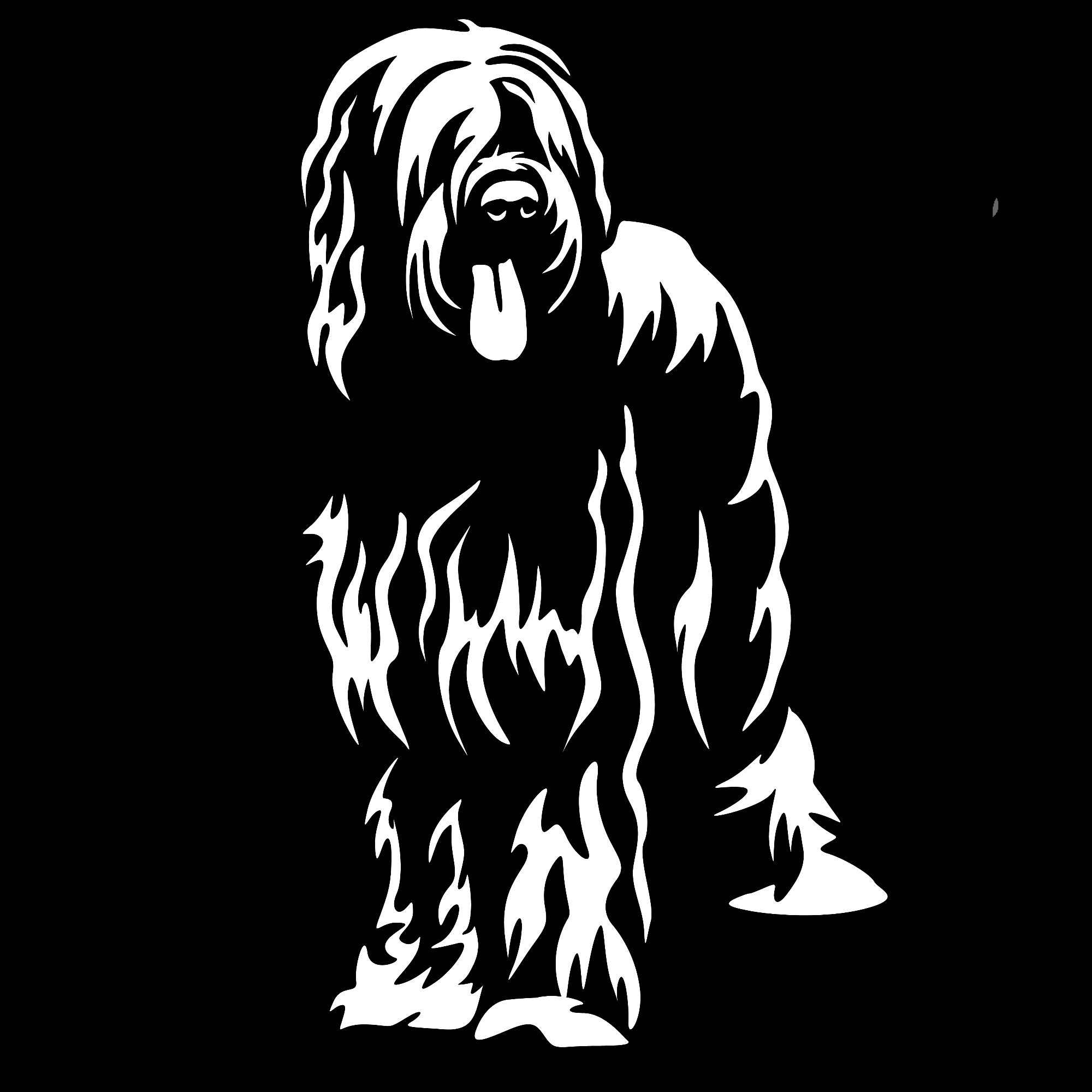 briard