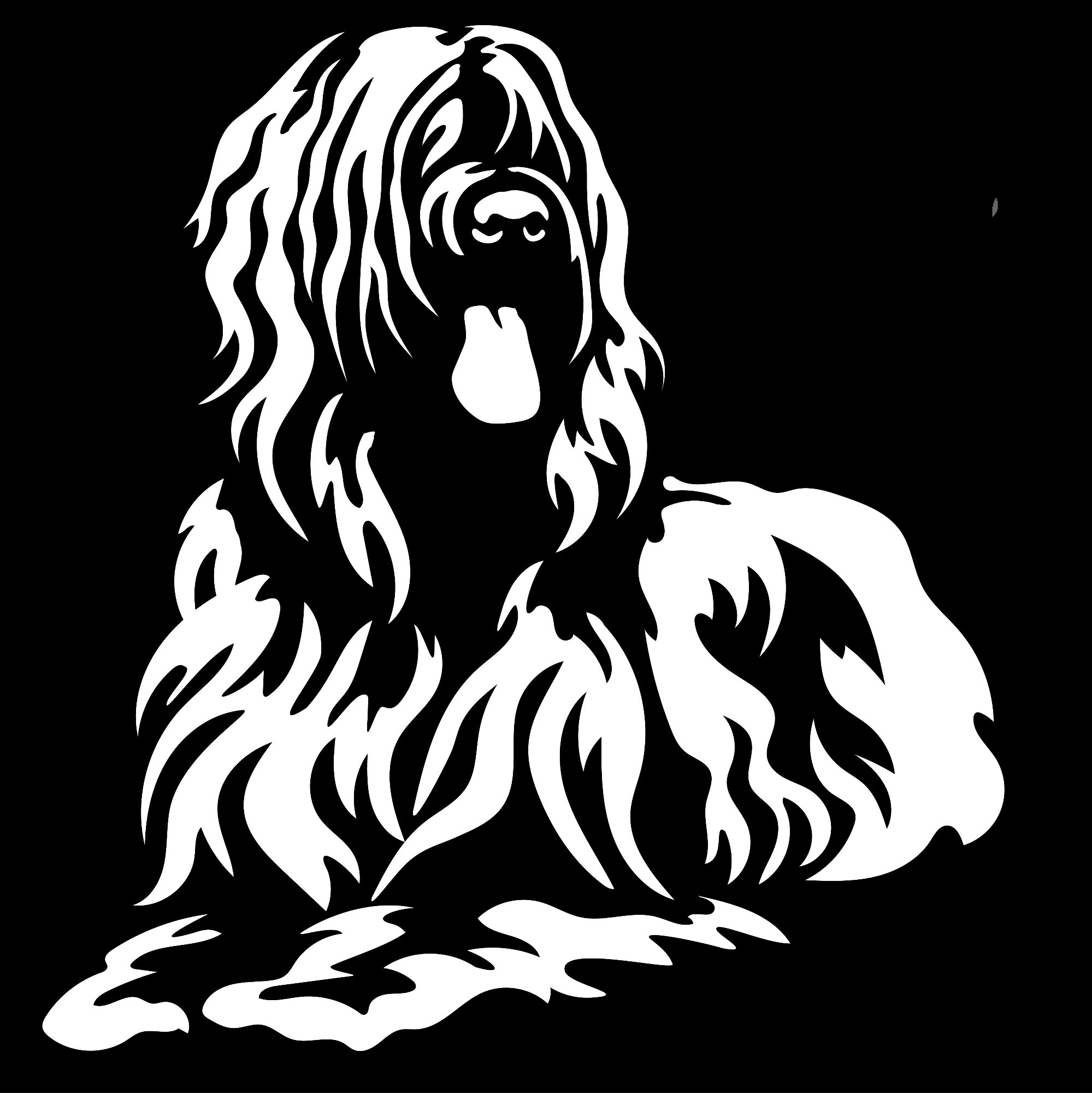 briard