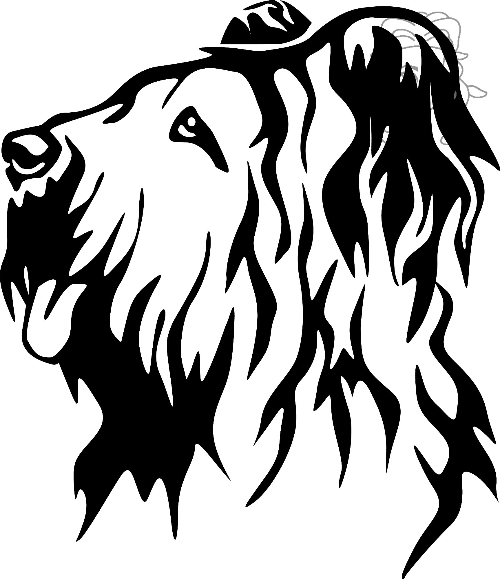 briard