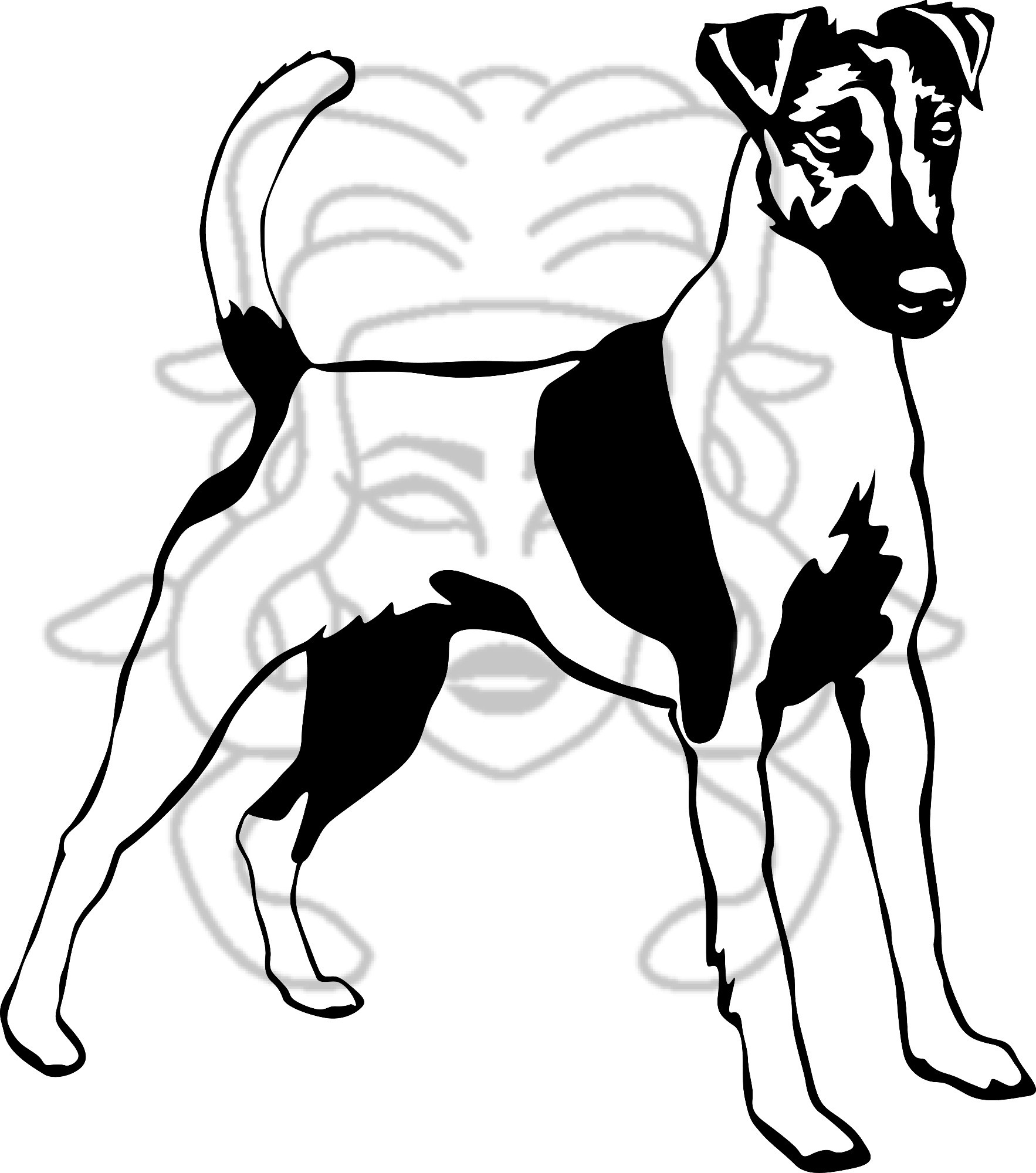 Foxík