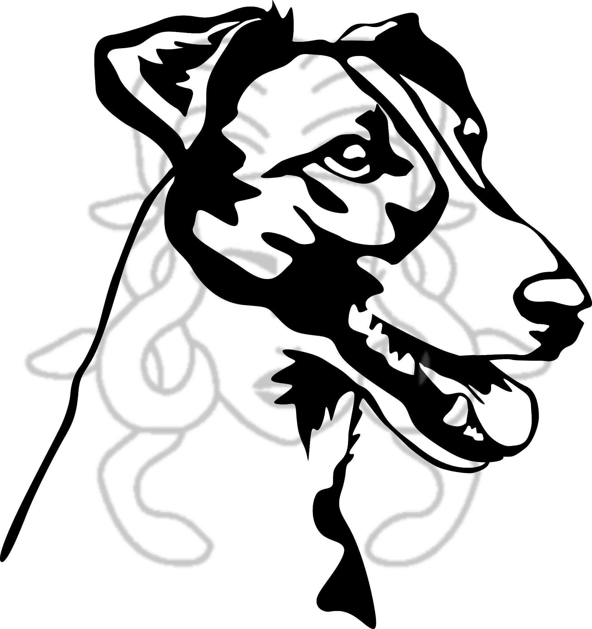 Foxík