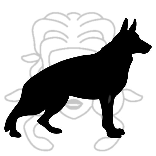 Německý ovčák