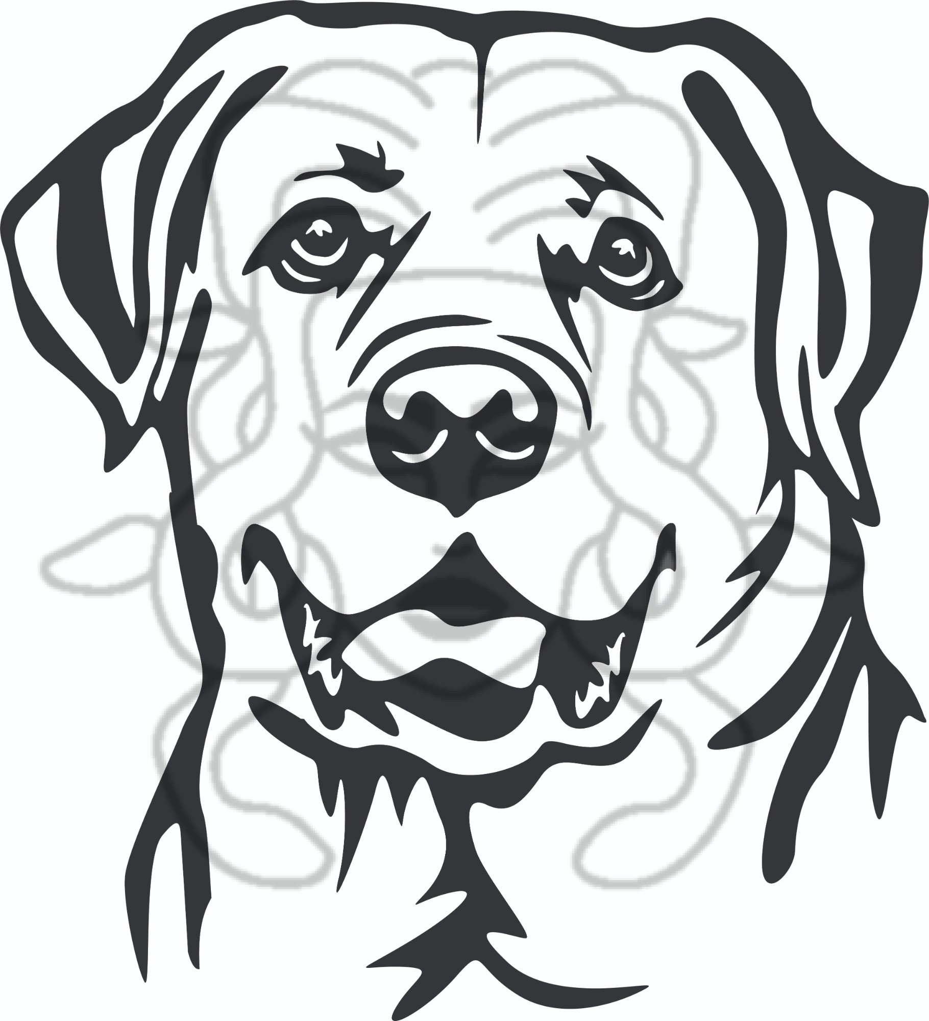 Flat/Labrador/Retríver 04