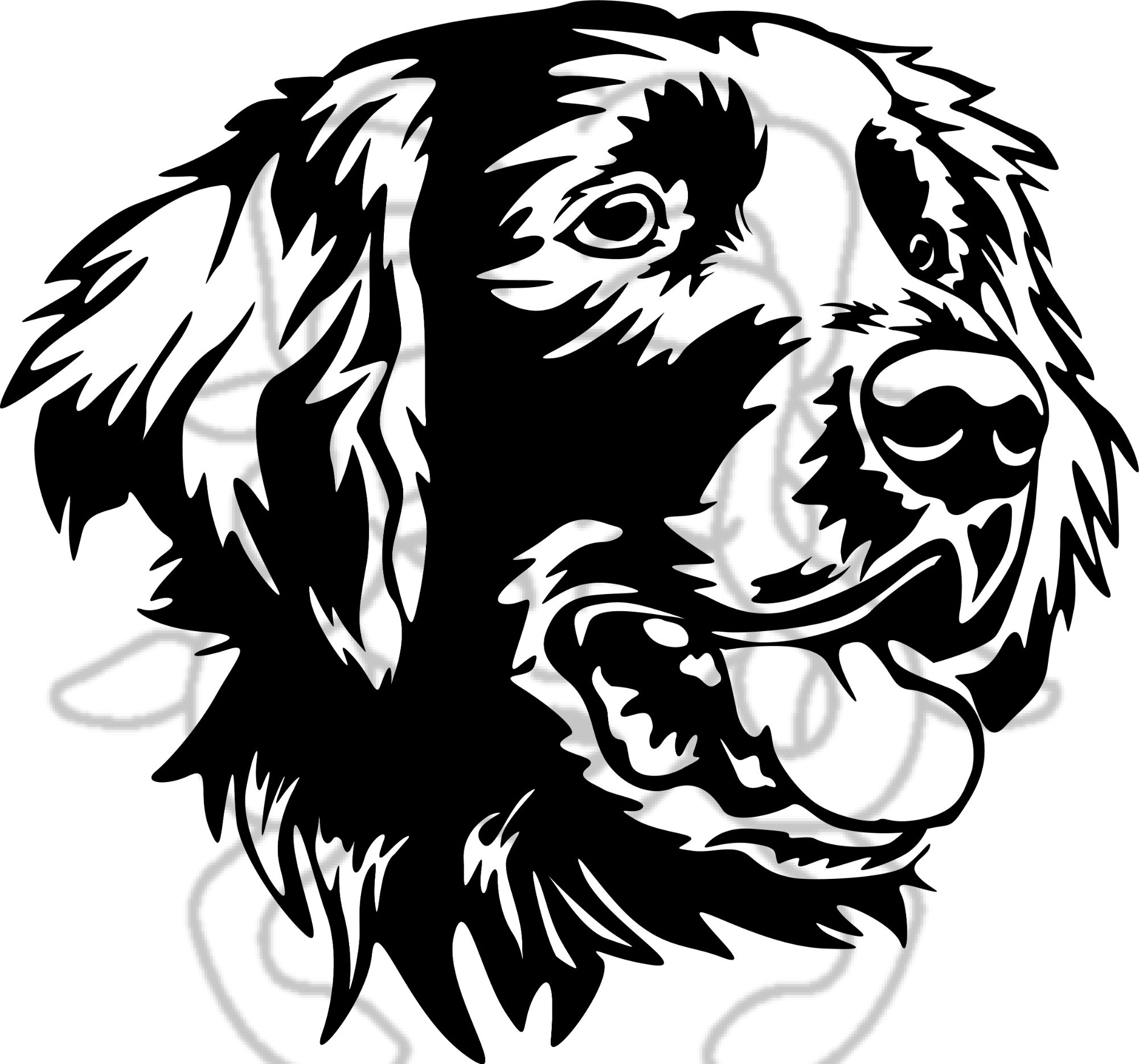 Flat/Labrador/Retríver 02