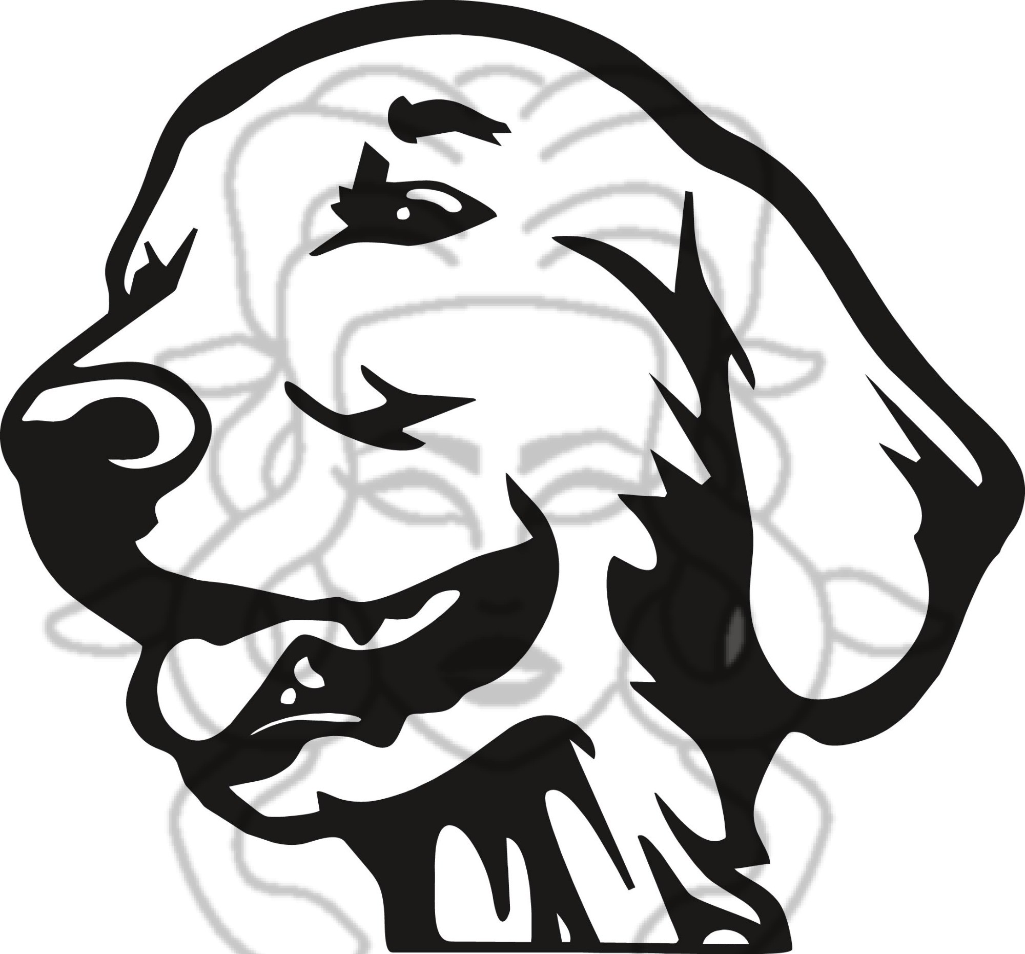 Flat/Labrador/Retríver 07