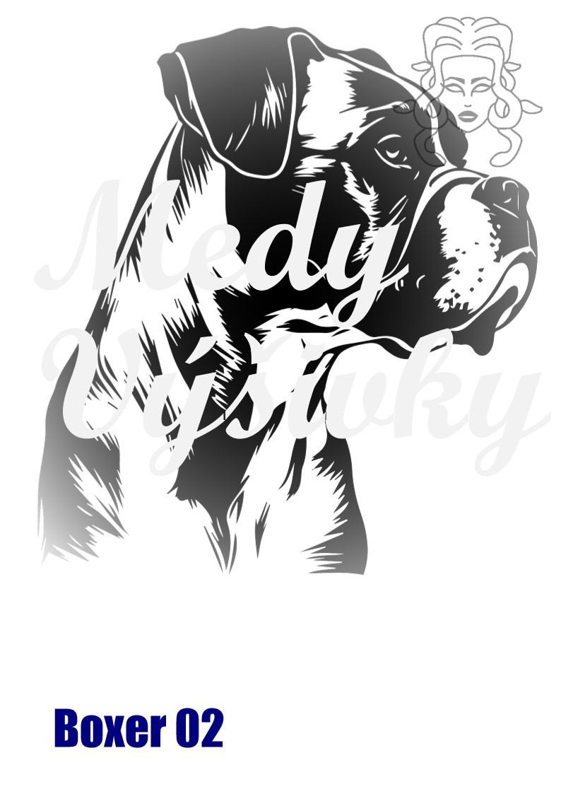 Boxer 2