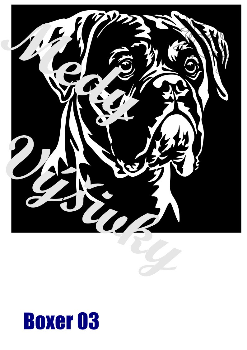 Boxer 3