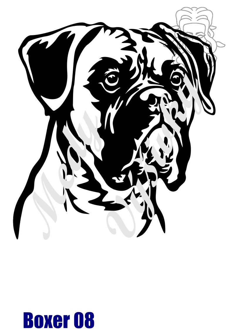 Boxer 8