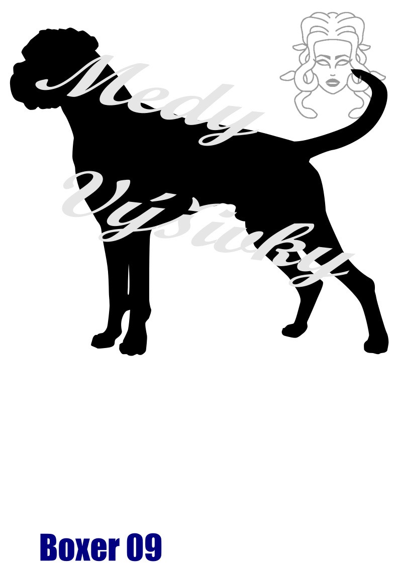 Boxer 9