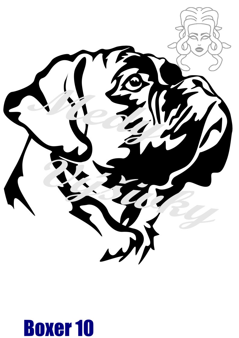 Boxer 10