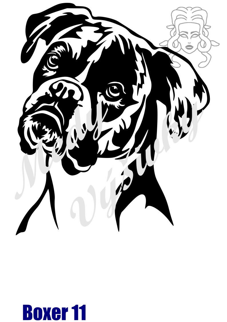 Boxer 11