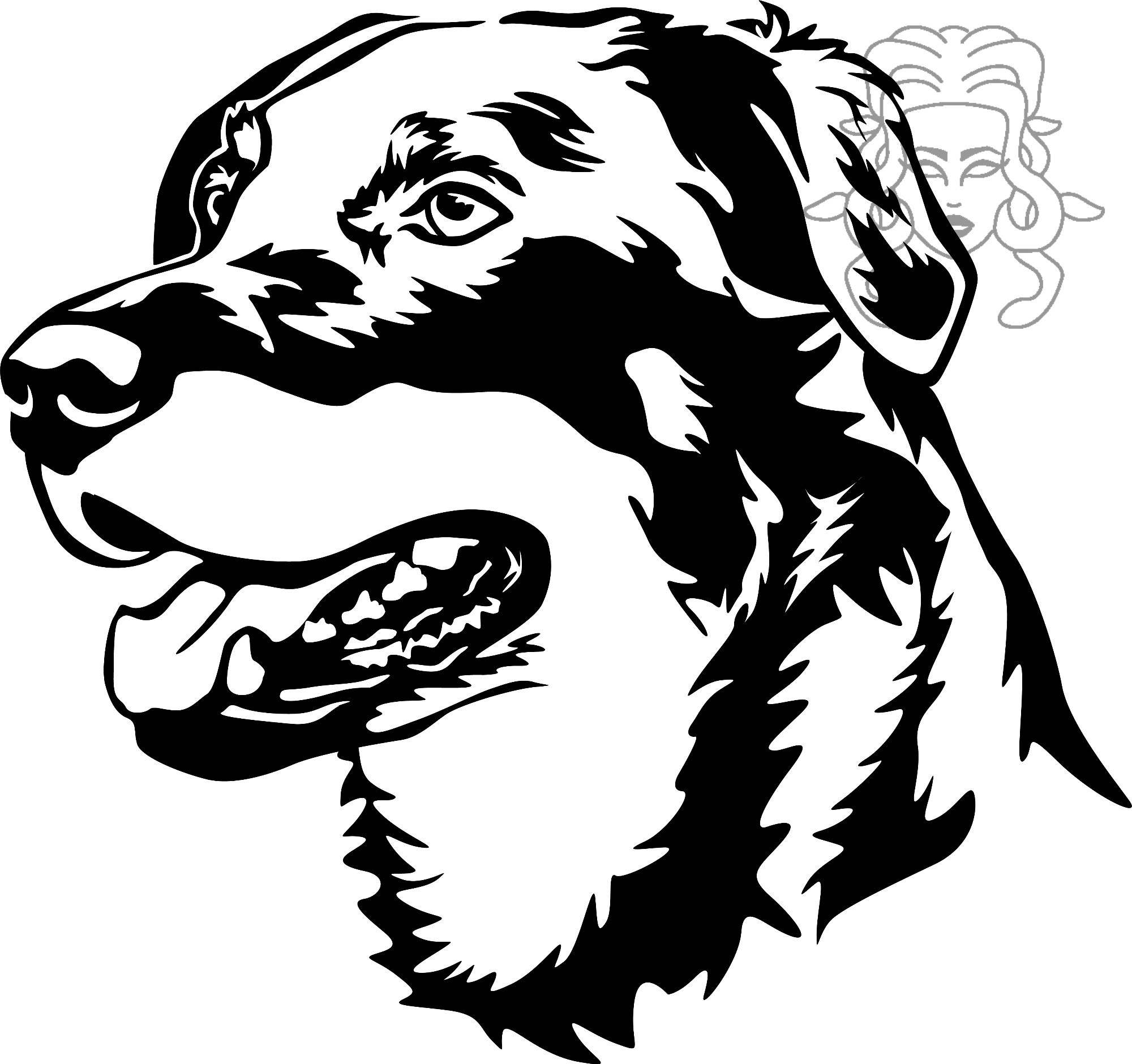Beauceron