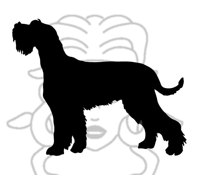 Knírač