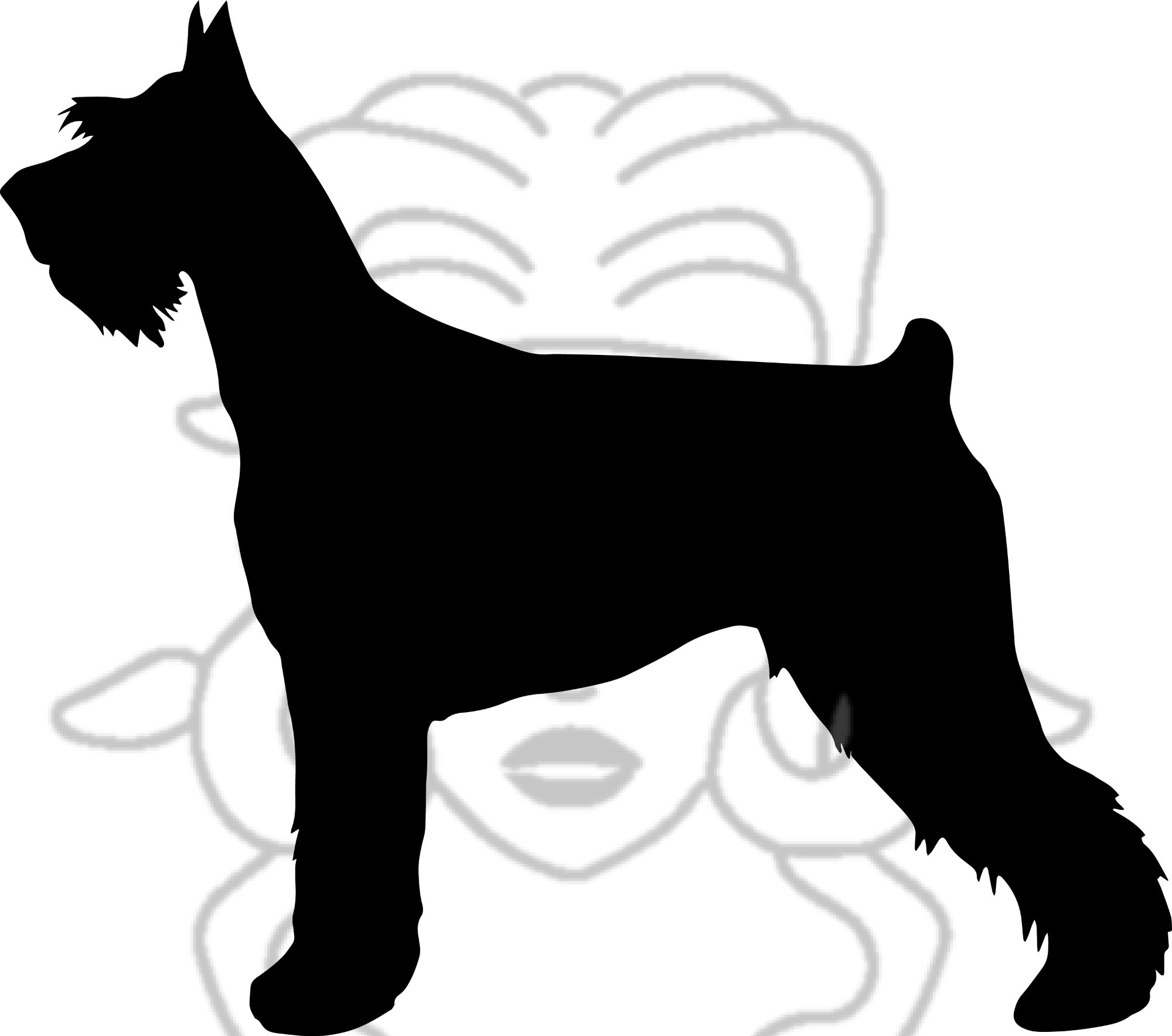 Knírač