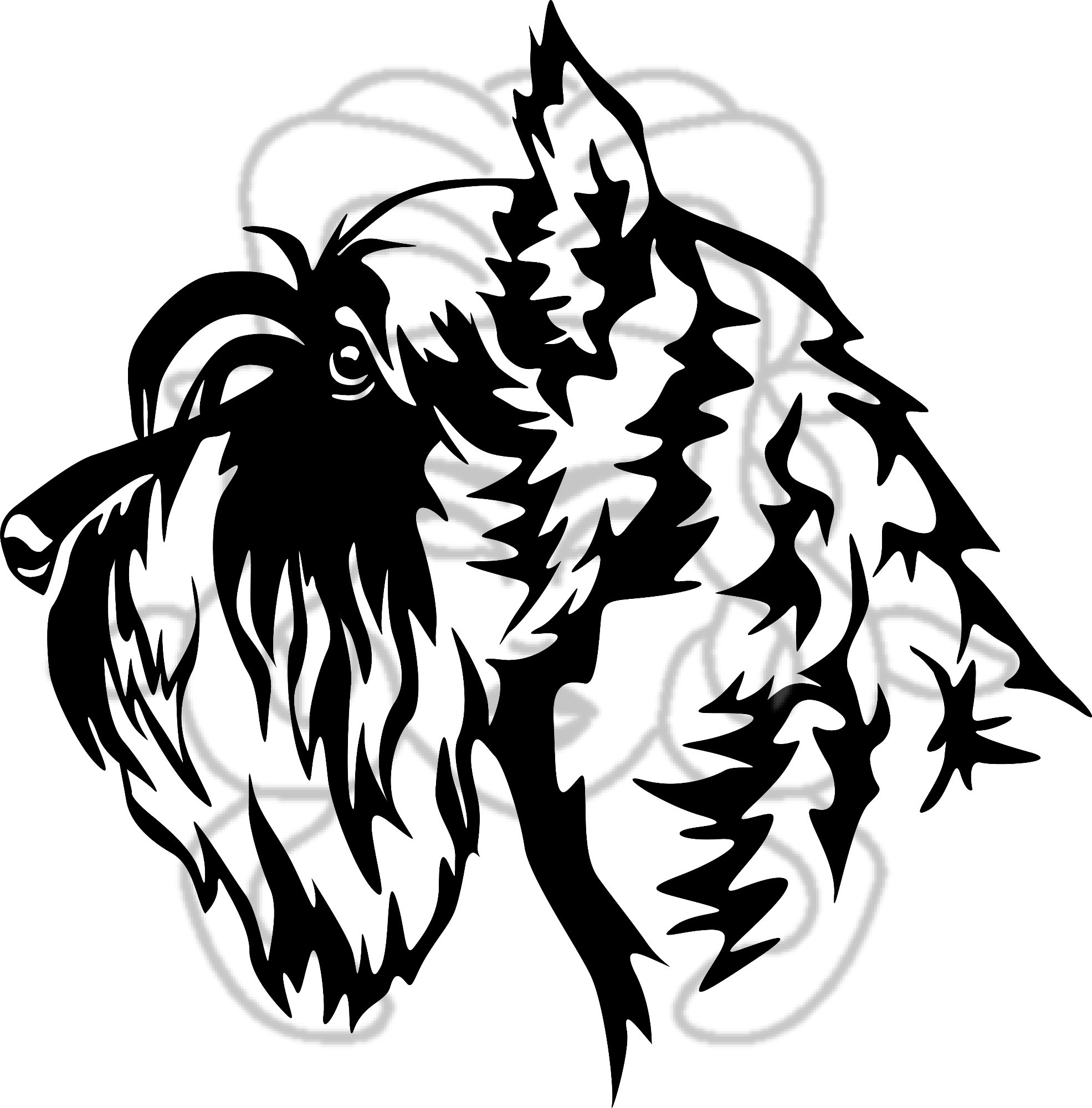 Knírač