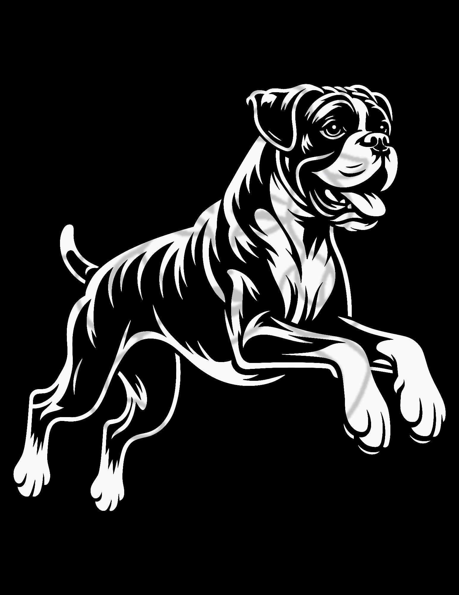 Boxer