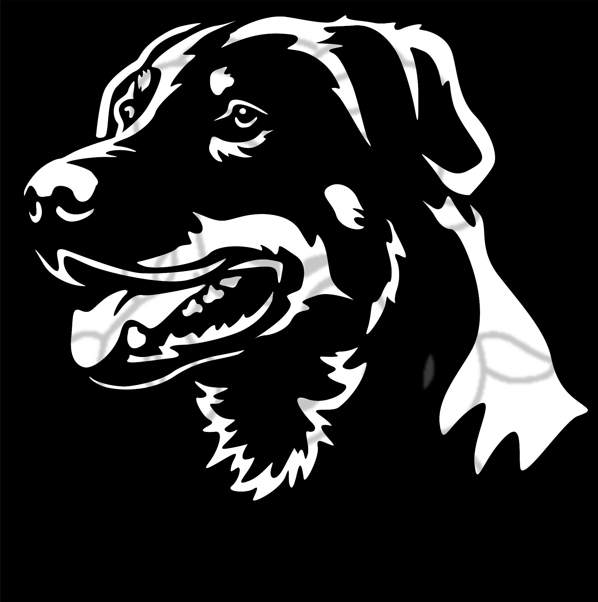 Beauceron