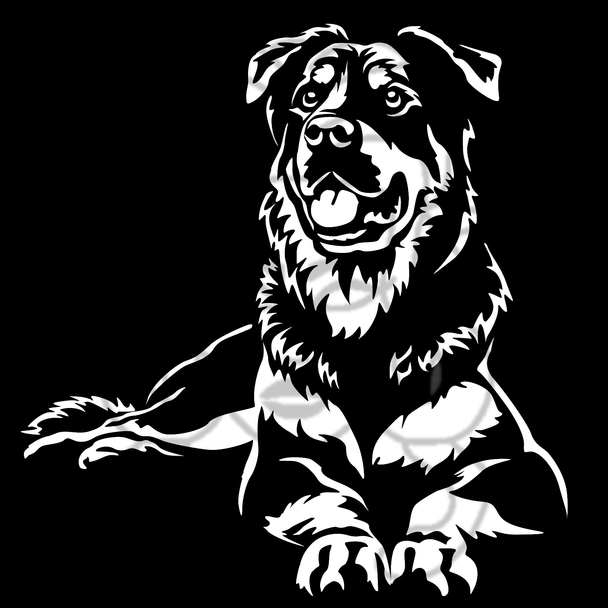 Beauceron