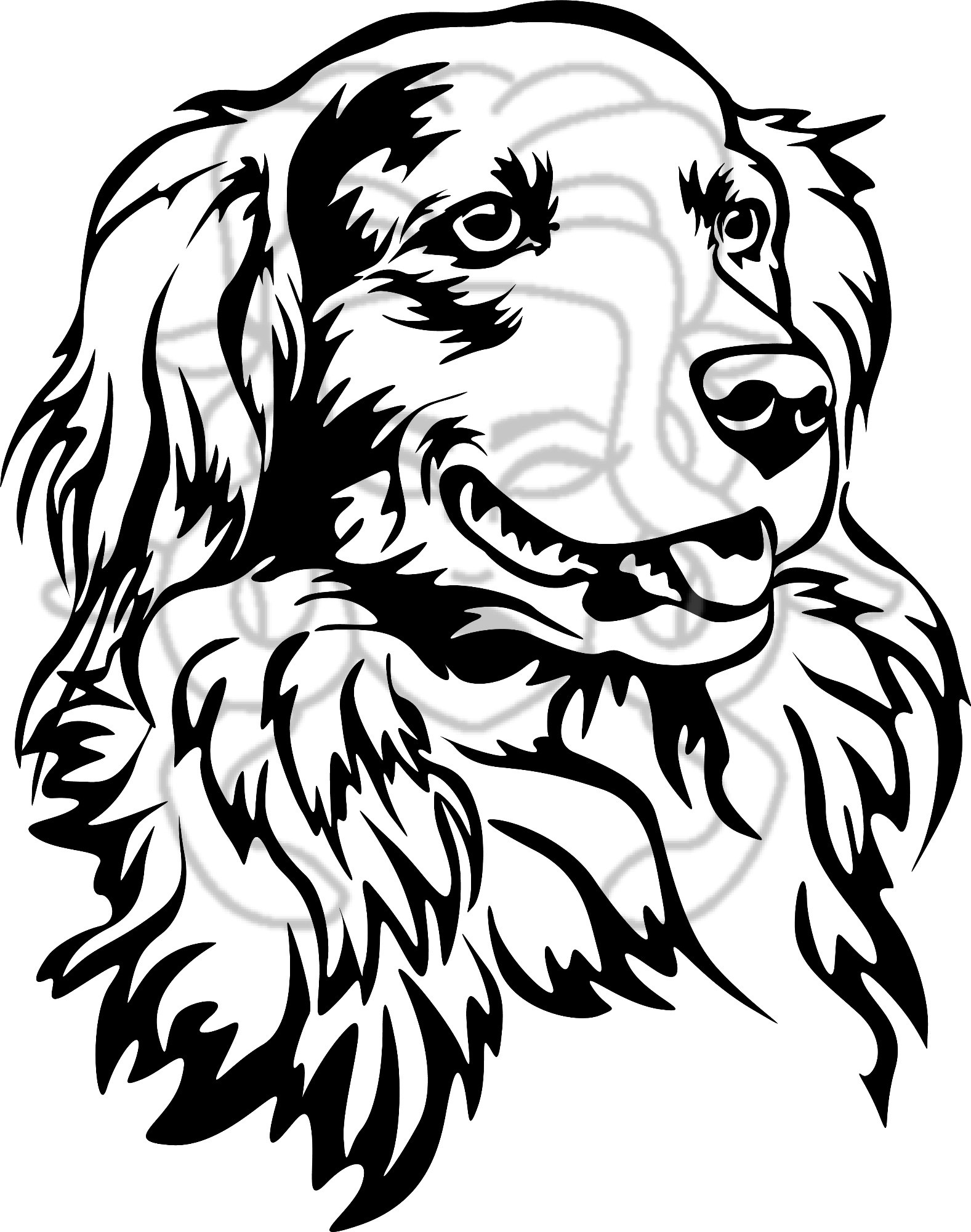 Nova scotia duck toling retriver