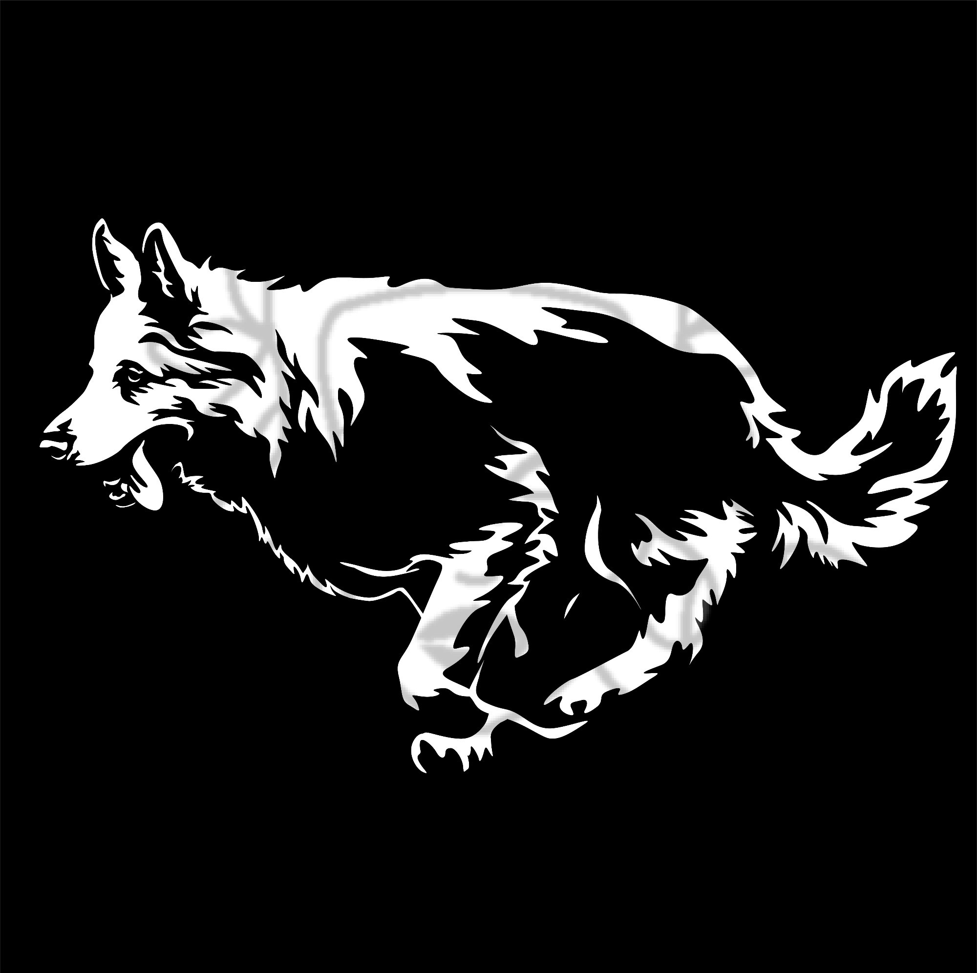 Švýcarský ovčák